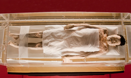 Una momia de 2000 años mantiene sangre en su cuerpo y conserva su flexibilidad Una momia de 2000 años mantiene sangre en su cuerpo y conserva su flexibilidad