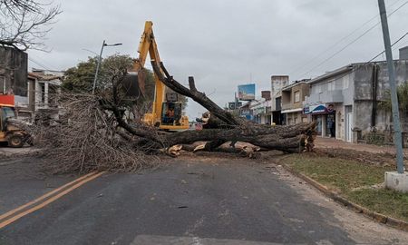 La remoción se realizó como parte de las obras complementarias del nuevo puente Santa Fe - Santo Tomé. La remoción se realizó como parte de las obras complementarias del nuevo puente Santa Fe - Santo Tomé.
