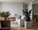 Las 3 plantas que podés tener en tu living.