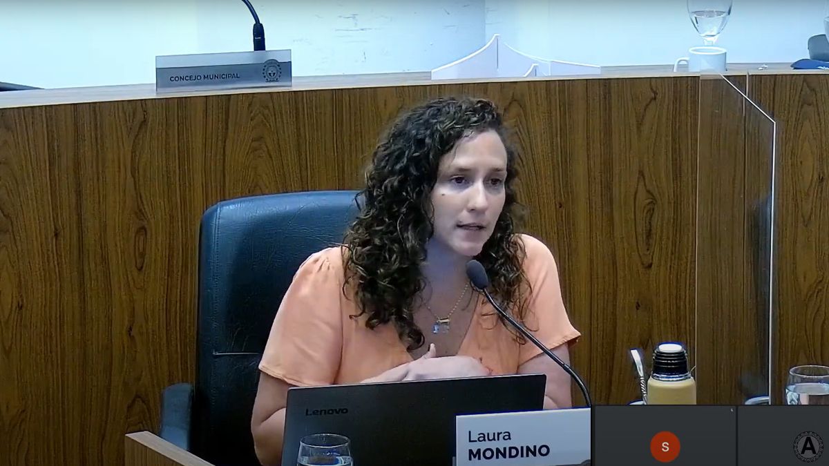 Laura Mondino, concejala de Santa Fe por el PS- Frente Progresista, señaló que “todo el arco opositor esperaba irse con el calendario electoral y lamentablemente no fue así”.