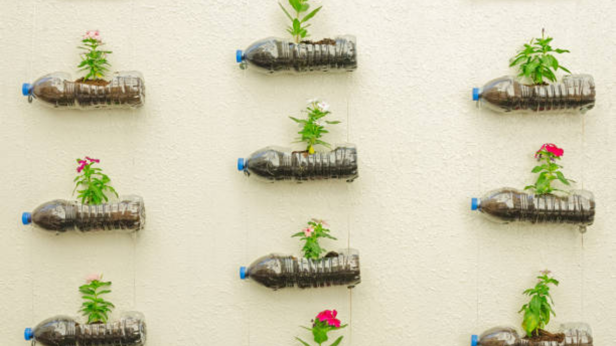 Si querés tener tu propio jardín vertical