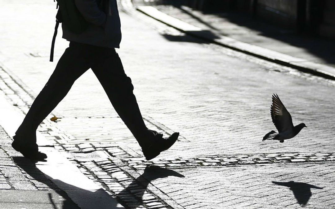 Las personas audaces no se detienen por nada y que pueden ayudar a otros a tener un crecimiento personal gracias a que son excelentes compañeros en la vida.