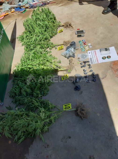 Allanaron una vivienda en Colastin&eacute; Norte y encontraron marihuana y coca&iacute;na