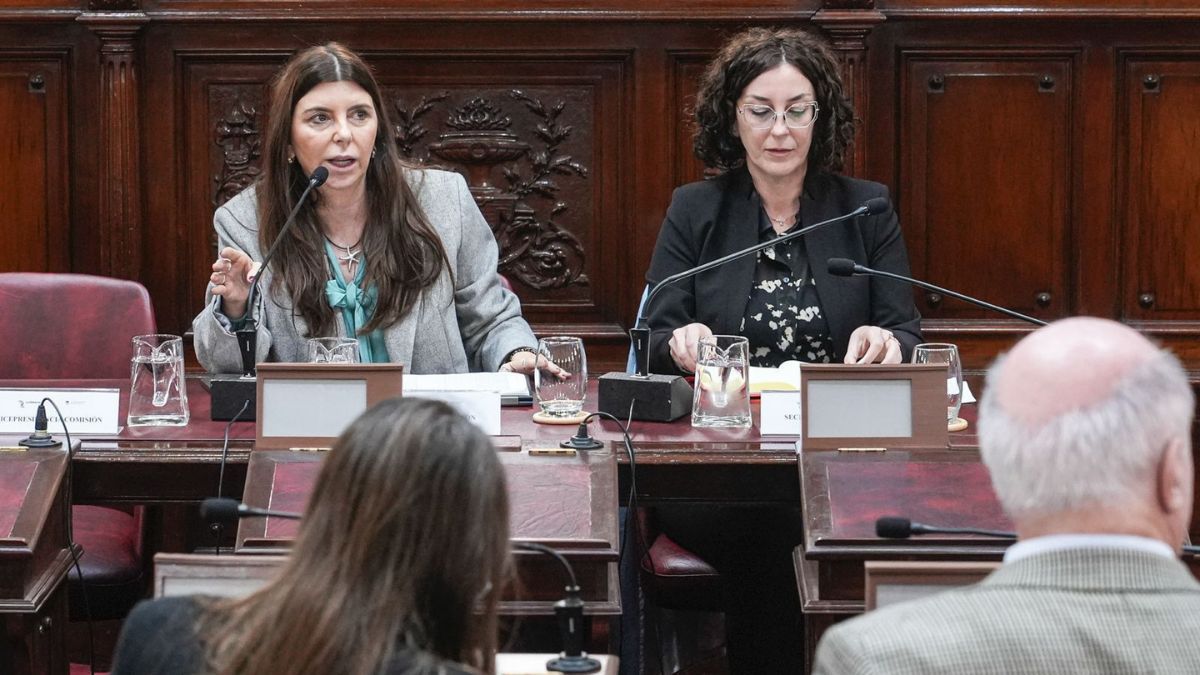 La presidenta de la Comisi&oacute;n de Funcionamiento del Estado de la Convenci&oacute;n del 25, Germana Figueroa Casas, y la secretaria, Mar&iacute;a Eugenia Mart&iacute;nez