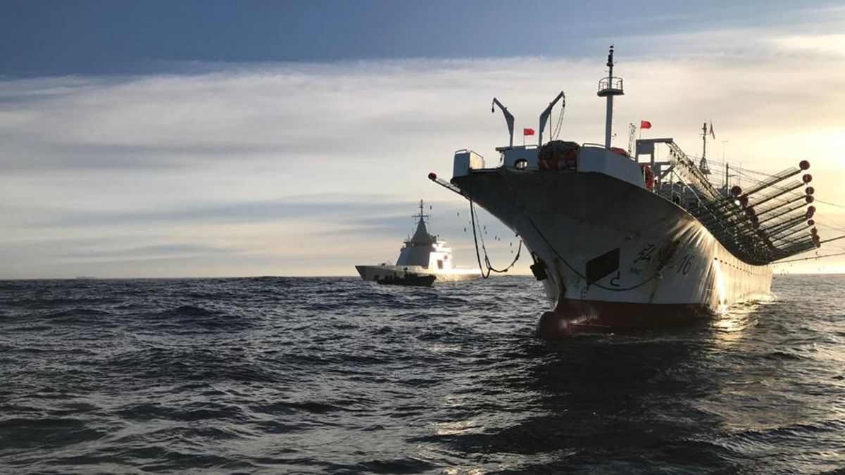 Los barcos que ingresan ilegalmente al mar argentino depredan a las especies que habitan en esas aguas.