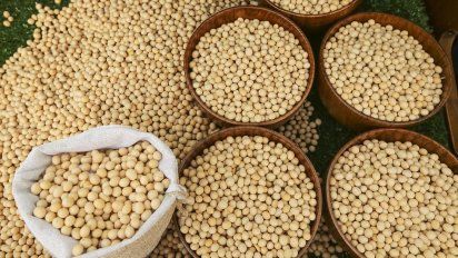 Granos de soja para hacer recetas saludables.