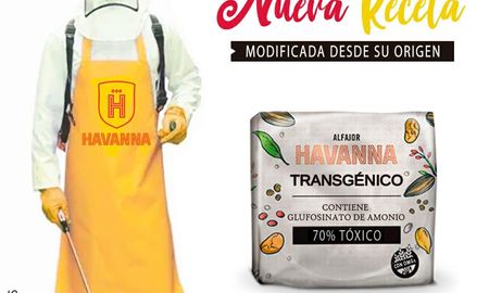 Aire de Santa Fe | trigo transgenico havanna