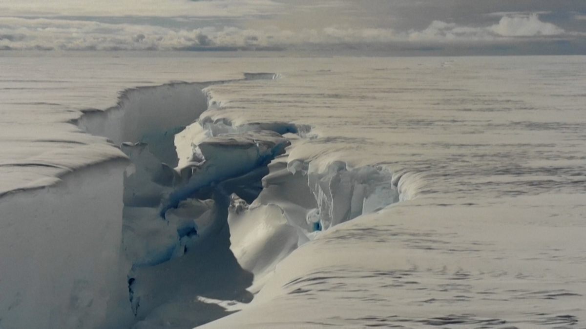 Alarma En La Antártida Se Desprendió Un Iceberg Que Es Siete Veces Más Grande Que Caba 8359