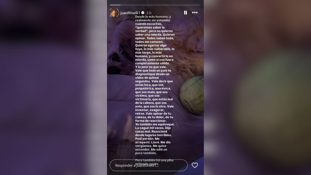 A través de una historia de Instagram, Juanita Tinelli hizo un descargo por las críticas tras la denuncia a su ex. A través de una historia de Instagram, Juanita Tinelli hizo un descargo por las críticas tras la denuncia a su ex.