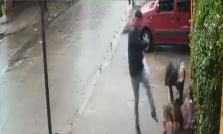 Un pitbull atacó a una nena y casi le arranca la pierna Un pitbull atacó a una nena y casi le arranca la pierna