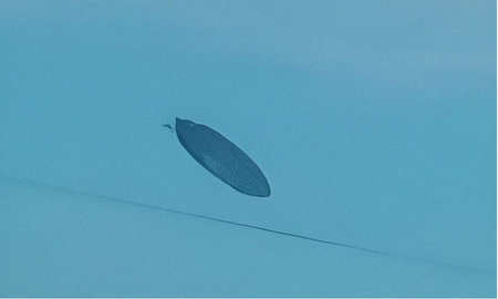 Impactantes imágenes de un OVNI gigante que una mujer captó en Tucumán: Y luego desapareció... Impactantes imágenes de un OVNI gigante que una mujer captó en Tucumán: Y luego desapareció...