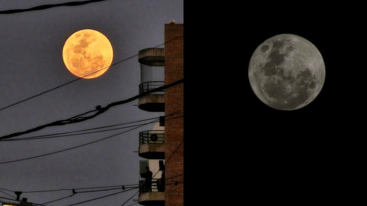 Superluna azul desde Santa Fe, Argentina. 30/08/2023. Superluna azul desde Santa Fe, Argentina. 30/08/2023.