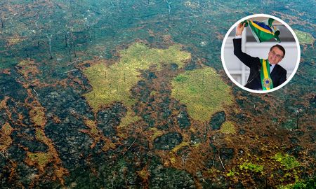 La deforestación y los incendios amenazan la biodiversidad de la selva amazónica en Brasil. La deforestación y los incendios amenazan la biodiversidad de la selva amazónica en Brasil.