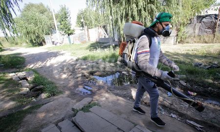 La preocupación por la cantidad de casos de dengue se extiende en todo el territorio de la provincia. La preocupación por la cantidad de casos de dengue se extiende en todo el territorio de la provincia.