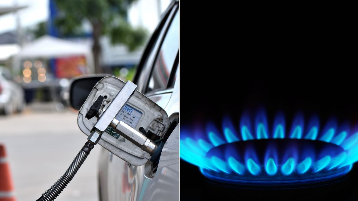 Cuáles son las causas de la falta de gas y a qué sectores afecta.