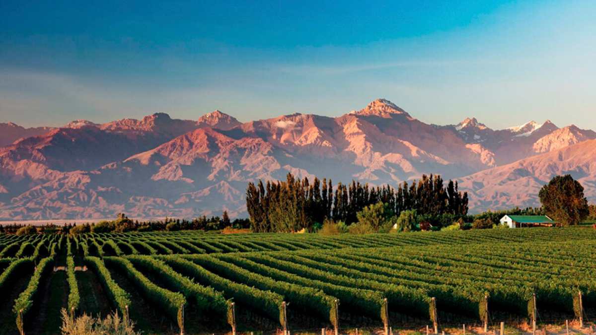 Mendoza y Bariloche se destacan por su equilibrio entre naturaleza, gastronomía y tranquilidad. Mendoza y Bariloche se destacan por su equilibrio entre naturaleza, gastronomía y tranquilidad.