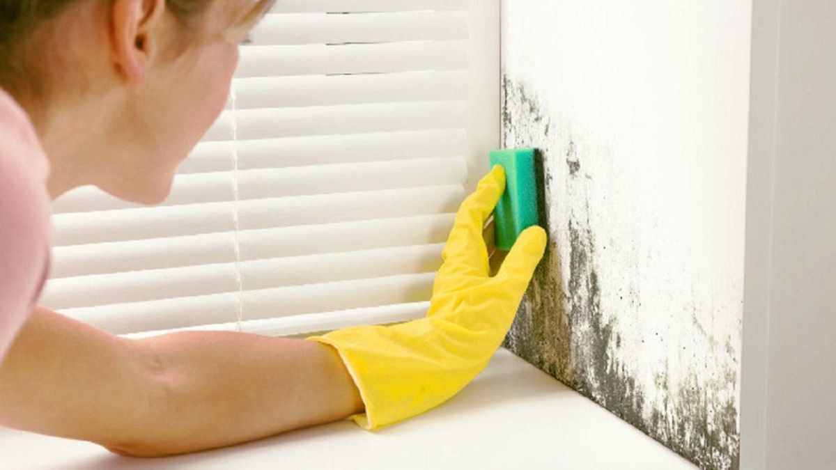 El truco para eliminar la humedad de la pared. 