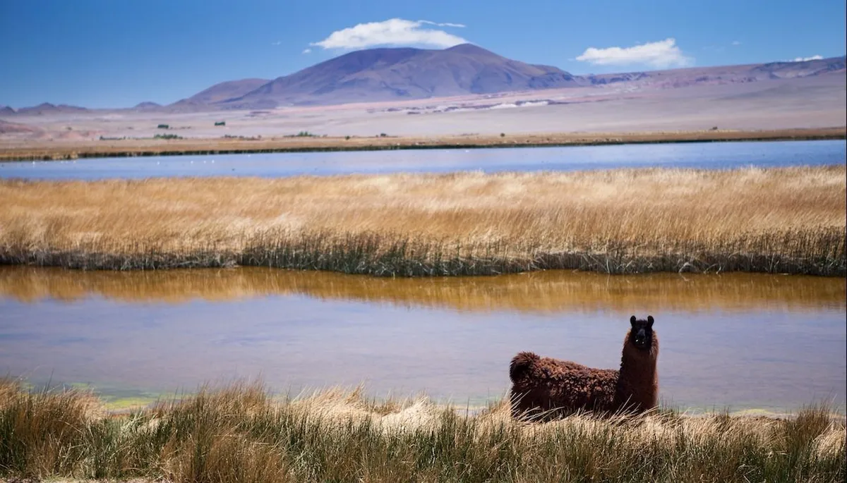 Cuándo empiezan las vacaciones de invierno en la provincia de Catamarca