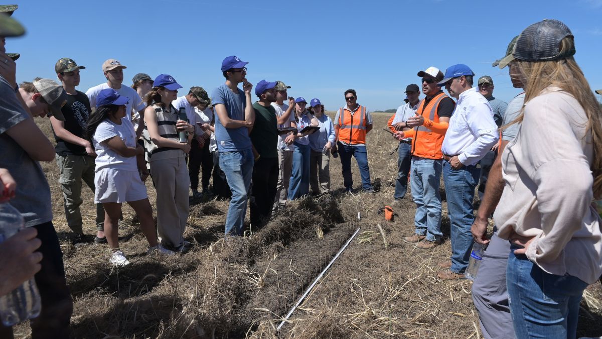 Este enfoque innovador no solo busca potenciar el sector agropecuario, sino también fortalecer el tejido social y económico de las comunidades rurales, favoreciendo el arraigo