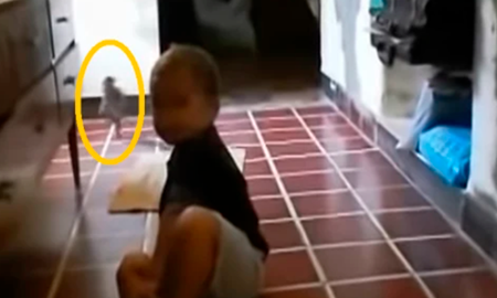 Según había dicho la mujer en aquel entonces, regularmente escuchaba ruidos extraños cerca de la habitación de Benja y cuando él dormía se escuchaban risas. Según había dicho la mujer en aquel entonces, regularmente escuchaba ruidos extraños cerca de la habitación de Benja y cuando él dormía se escuchaban risas.