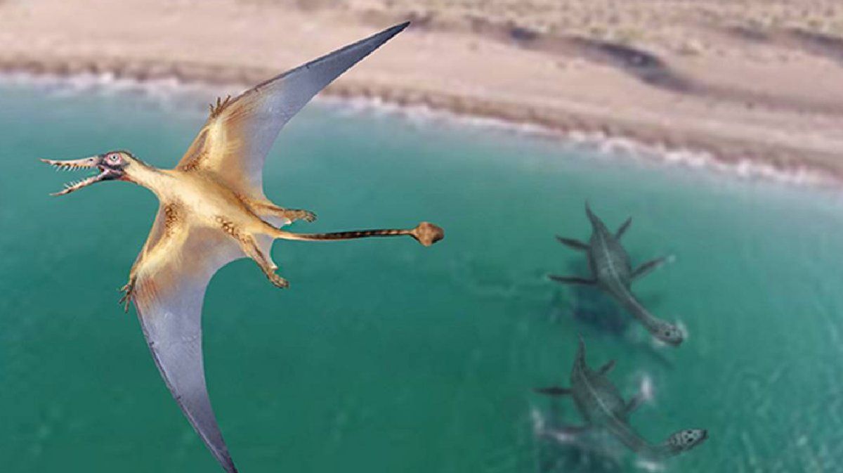 Descubren restos fósiles de un prehistórico dragón volador en el desierto de Atacama