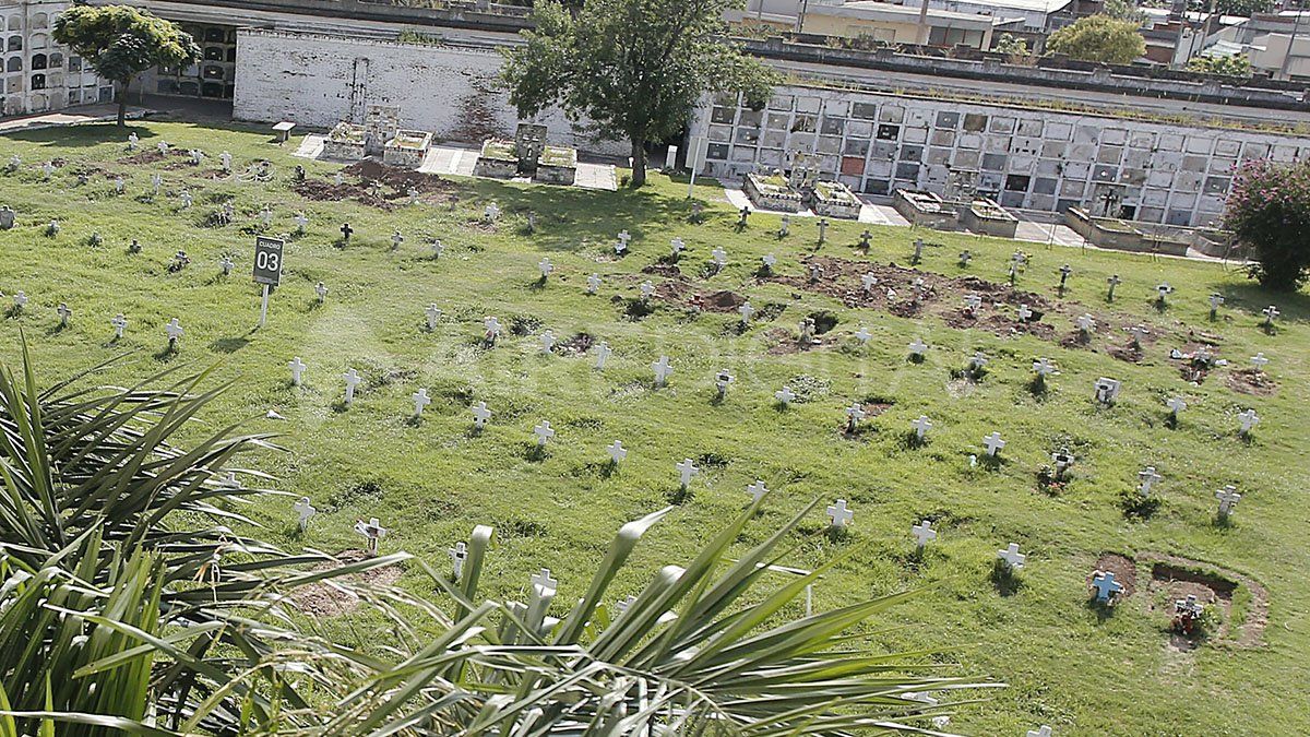 Las imágenes que muestran el abandono del Cementerio Municipal