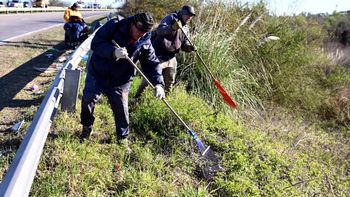Operativo de limpieza en la Circunvalación Oeste: retiraron más de 100 toneladas de residuos