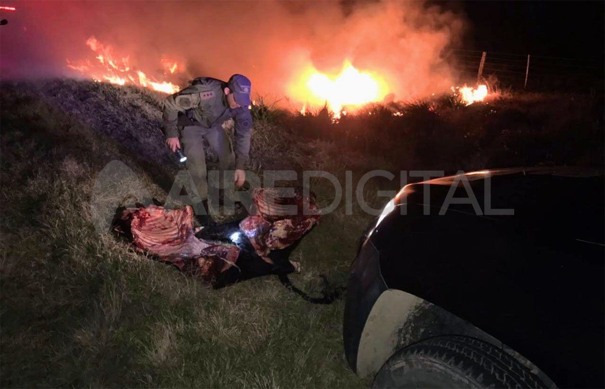 Los policías encontraron dos medias reses dentro del auto abandonado por los delincuentes