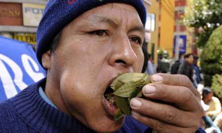 por la crisis en bolivia, el cuarto de coca podria valer 750 pesos por la crisis en bolivia, el cuarto de coca podria valer 750 pesos