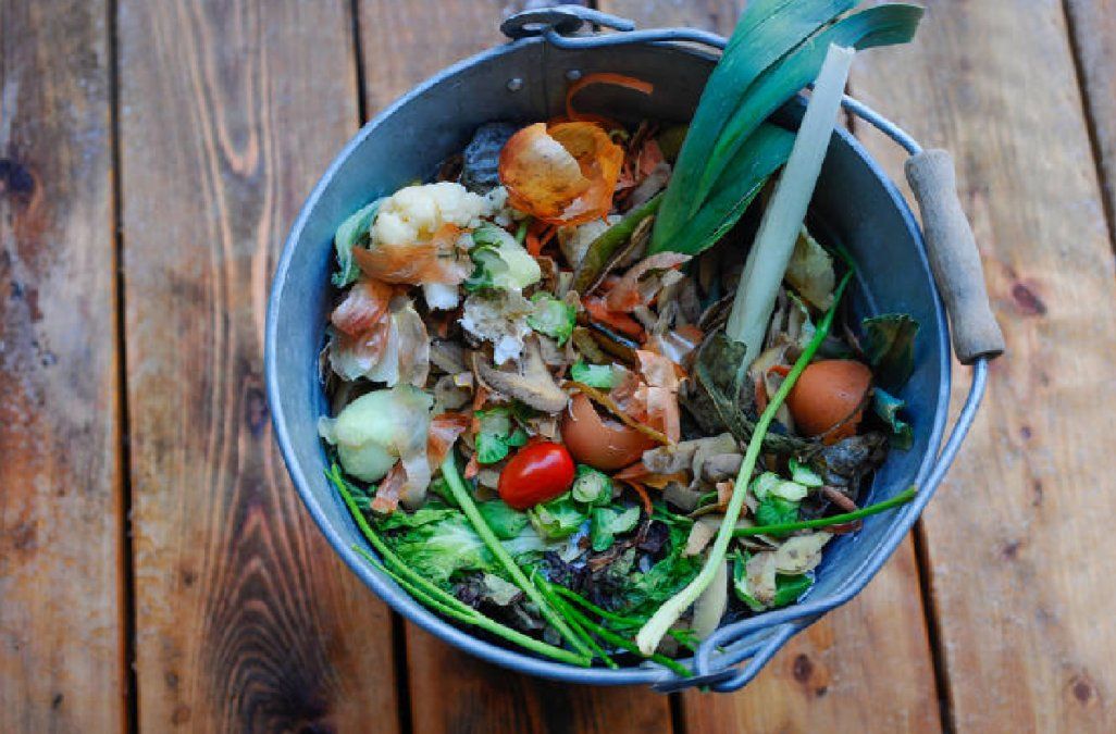 Científicos logran convertir desechos de alimentos en energía limpia