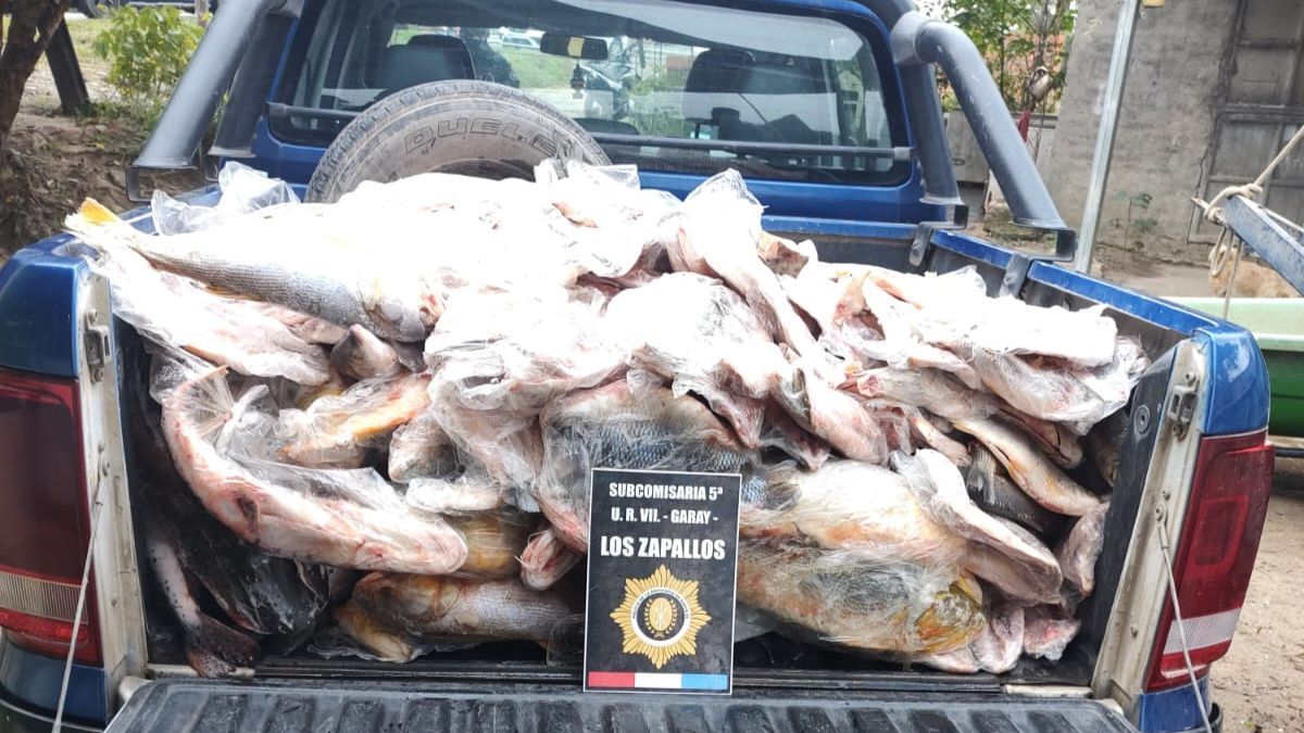 Se decomisaron 200 especies ictícolas. Se decomisaron 200 especies ictícolas.