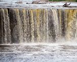 En época de lluvias, cuando el arroyo viene cargado puede tapar el salto del Pavón. En época de lluvias, cuando el arroyo viene cargado puede tapar el salto del Pavón.