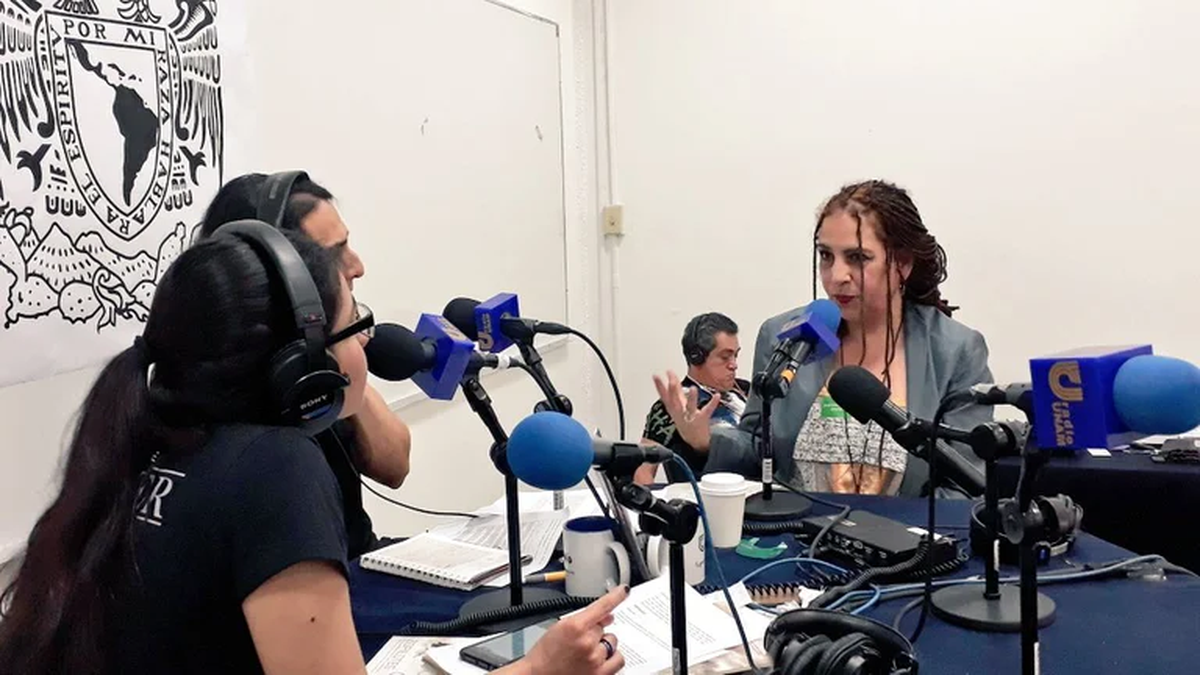 En el a&ntilde;o 2000 fungi&oacute; como Directora de Cultura de la delegaci&oacute;n, ahora alcald&iacute;a, Coyoac&aacute;n, bajo el gobierno de la actriz Mar&iacute;a Rojo.