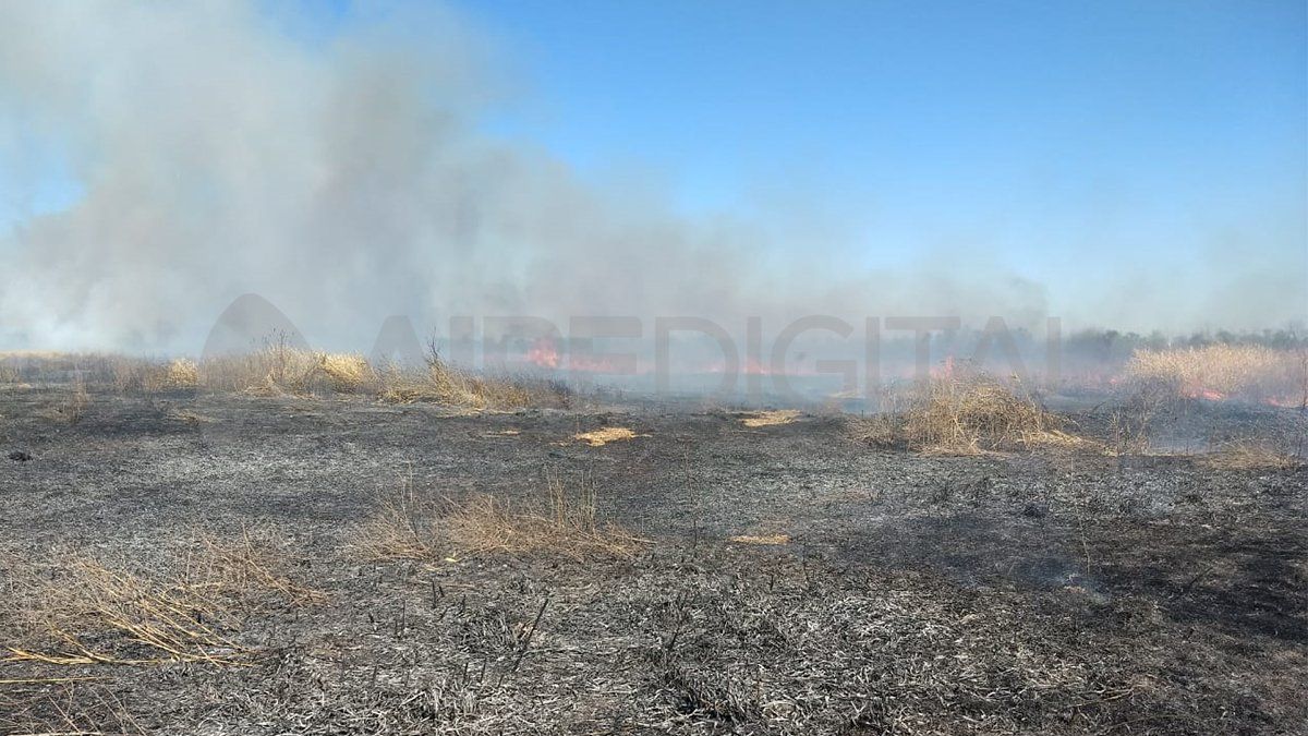 El estudio revela que las quemas afectan directamente al ecosistema.