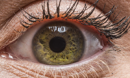 Ver para creer: 9 curiosidades sobre el ojo humano Ver para creer: 9 curiosidades sobre el ojo humano