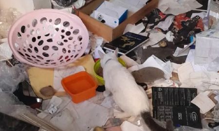La juez federal María Eugenia Capuchetti ordenó un nuevo allanamiento en el domicilio que compartían los detenidos Fernando Sabag Montiel y Brenda Uliarte. La juez federal María Eugenia Capuchetti ordenó un nuevo allanamiento en el domicilio que compartían los detenidos Fernando Sabag Montiel y Brenda Uliarte.