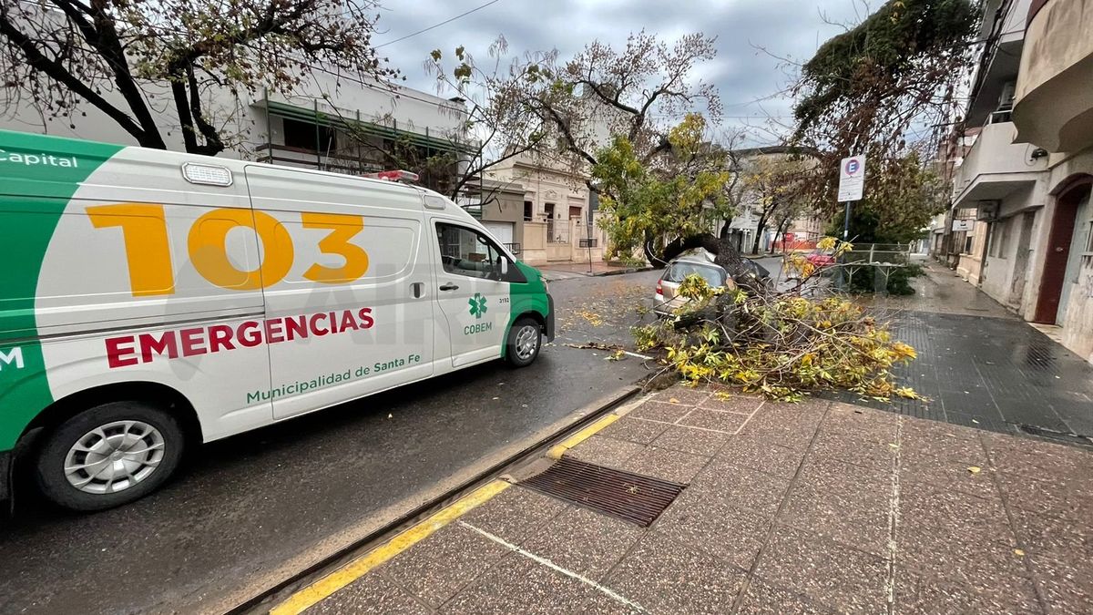 Personal de Cobem trabajó para despejar parte de la calzada.