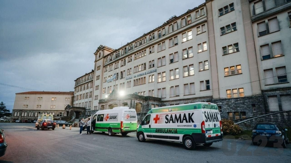 Llerar fue rápidamente trasladada al Hospital Interzonal de Mar del Plata, donde horas más tarde murió.