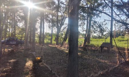 Policía ecológica colocó una malla protectora para evitar el escape del puma.