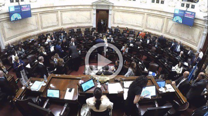 EN VIVO | El Senado trata el proyecto tarifario
