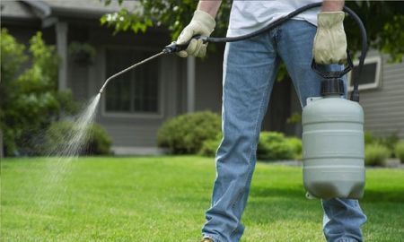 Los plaguicidas organofosforados se utilizan en agricultura. Los plaguicidas organofosforados se utilizan en agricultura.