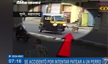 Intentó patear a un perro, salió despedido del mototaxi y terminó atropellado Intentó patear a un perro, salió despedido del mototaxi y terminó atropellado