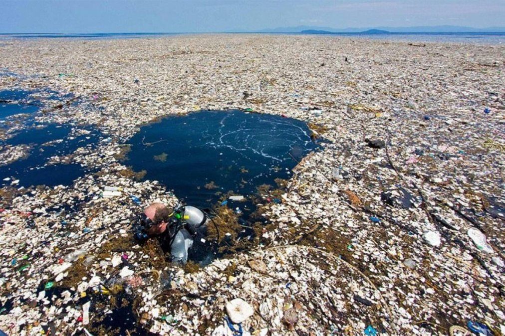 Isla de basura del pacífico.