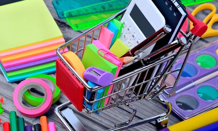 Como una medida de ahorro y evitar la suba de los costos, las familias adelantaron las compras de útiles escolares. Como una medida de ahorro y evitar la suba de los costos, las familias adelantaron las compras de útiles escolares.