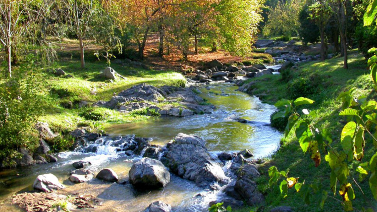 Uno de los espacios más encantadores de la localidad es la Reserva Natural Municipal, el espacio perfecto para un descanso pleno. Uno de los espacios más encantadores de la localidad es la Reserva Natural Municipal, el espacio perfecto para un descanso pleno.
