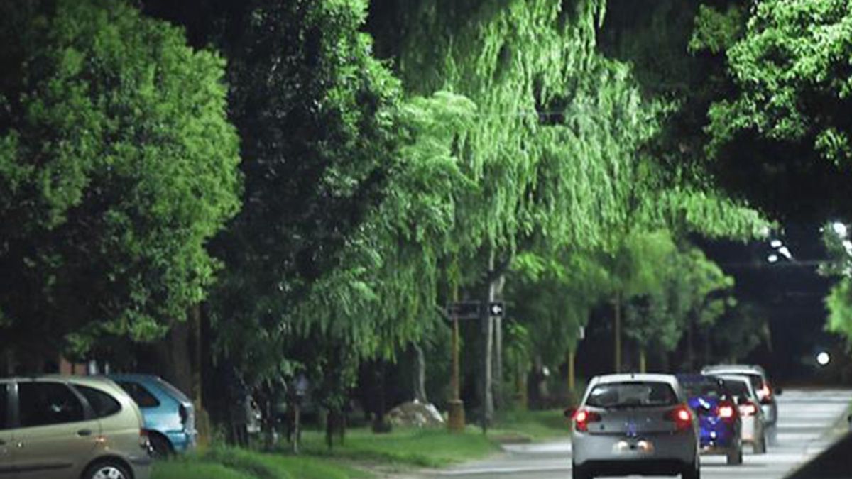 Las luces LED ahorrar electricidad y generan una luz m&aacute;s blanca