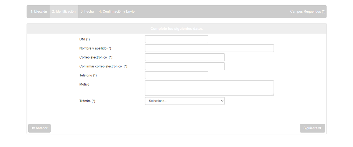 El Gobierno habilitará el turnero web para sacar o renovar la licencia de conducir en Santa Fe.