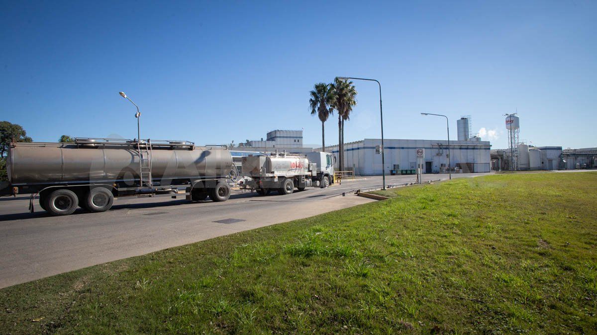 Ilolay procesa 1,5 millones de litros de leche por día. El ingreso de camiones a la planta de Bella Italia es permanente.