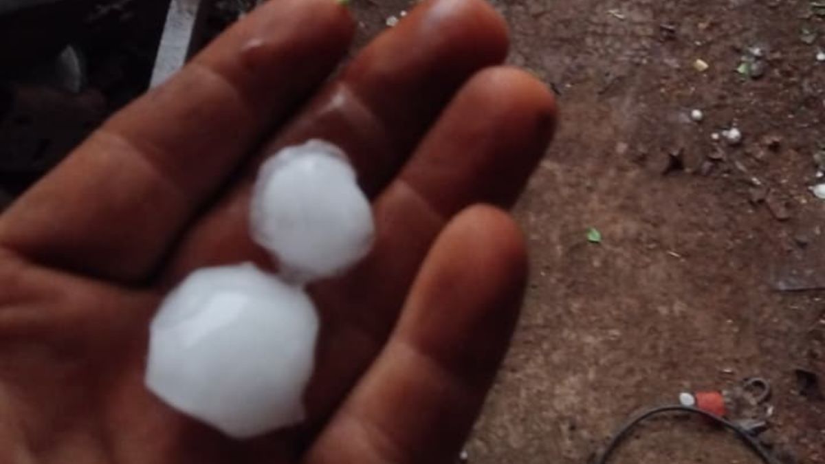 Imagenes compartidas por vecinos de Humboldt. Imagenes compartidas por vecinos de Humboldt.