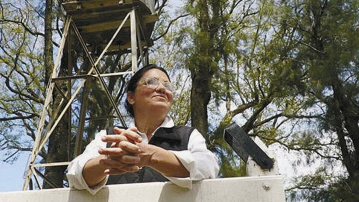 En el libro “Sola”, editado por Editorial Planeta, Dolores Etchevehere, periodista con experiencia de años en redacciones como La Nación, relata en 200 páginas, las causa del conflicto En el libro “Sola”, editado por Editorial Planeta, Dolores Etchevehere, periodista con experiencia de años en redacciones como La Nación, relata en 200 páginas, las causa del conflicto